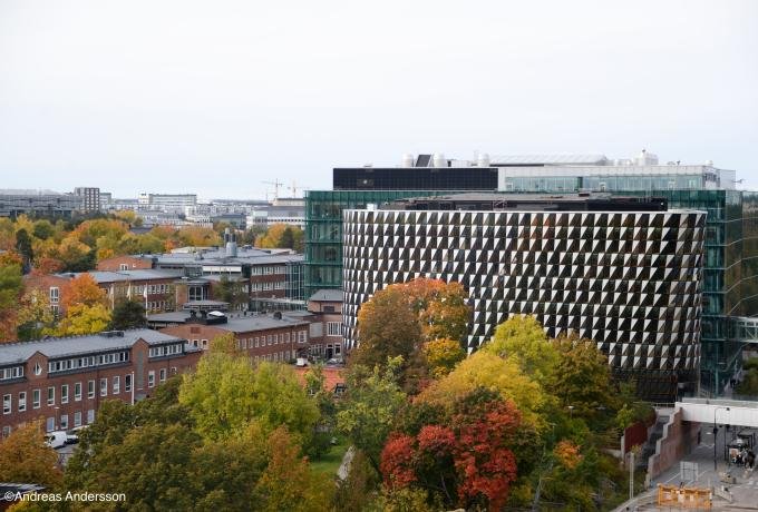 Doctoral Courses at Karolinska Institutet – Fall 2026
